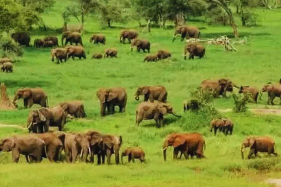 A DAY TRIP SAFARI