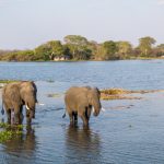 RPS-Kuthengo-158e-1000x563