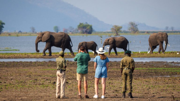 How Much Does a Tanzania Safari Cost? A Complete 2026 Guide