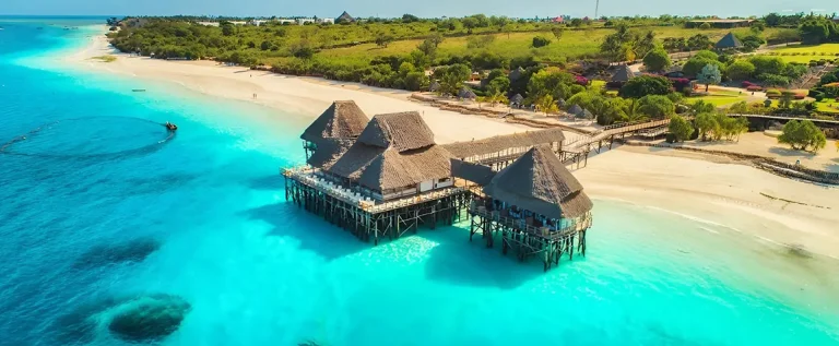Best Safari from Zanzibar to Serengeti: The Ultimate Travel Guide