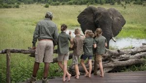 Family enjoying elephant viewing during a Tanzania safari
