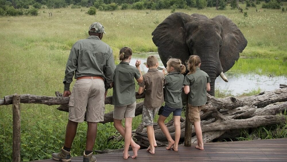Family enjoying elephant viewing during a Tanzania safari