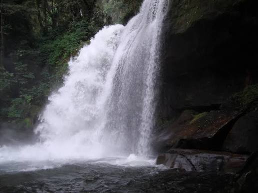 Close-up view of pristine cascading water at Sanje Waterfalls in Udzungwa Mountains, Tanzania